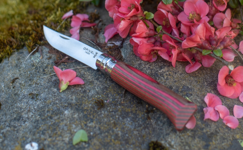 オークイメージ03